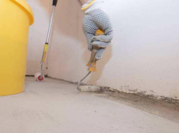 Best Termite Inspection and Treatment  in Grass Lake, MI